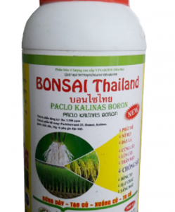 BONSAI Thái Lan (500ml)