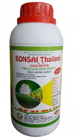 BONSAI Thái Lan (500ml)